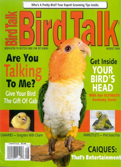Bird Talk Cover