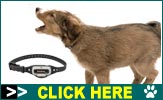 PetSafe Bark Collars-The Best Dog Shock Collars 