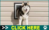 Dog Doors – PetSafe dog doors, Staywell electronic dog doors