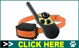 PetSafe dog shock collars & wireless training collars
